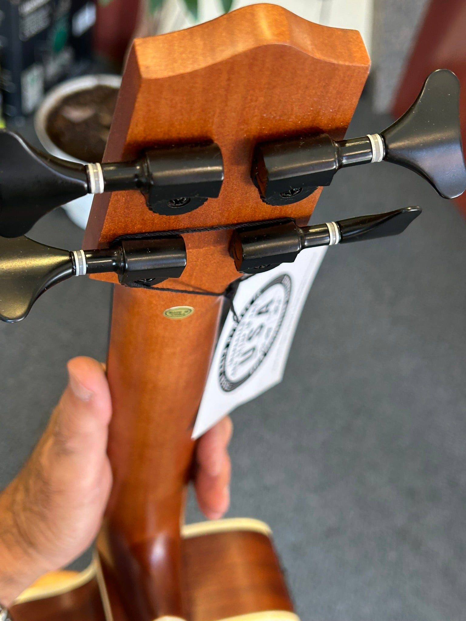 Kala Journeyman Acoustic-Electric U-Bass Guitar with F-Holes